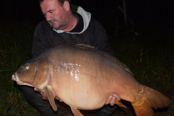 4 x 50's In A Week - 2