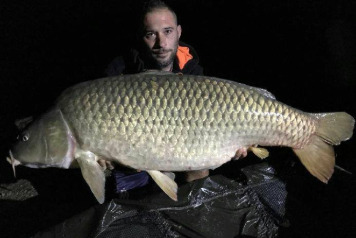 PB Common - 1