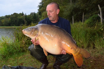 4 x 50's In A Week - 3