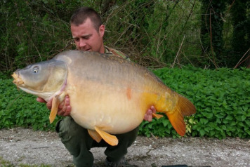 Last Week's Round-up - 2