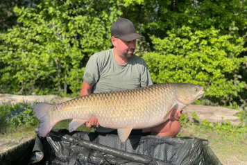 Week 16.04.22 to 23.04.2022 - 1