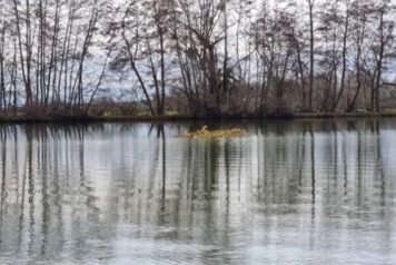 Sanctuary Island - 1