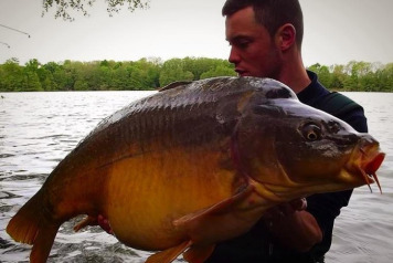 A Great Week for Swim 11 - 5