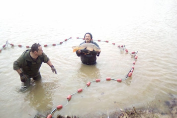 Netting and Additional Stocking 2017 - 3