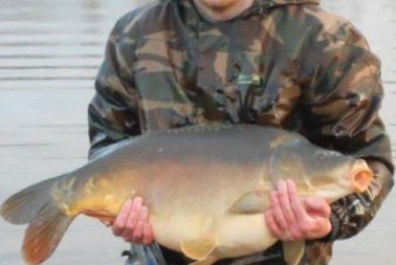 Additional carp stocked - 6