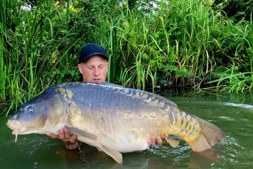 Catch report from 27.8.22 to 3.9.22 - 3