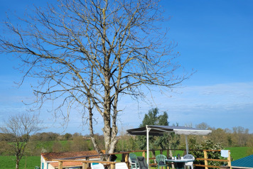 Photos from early Spring - 6