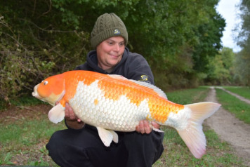 MEGA WEEK AGAIN!!! - 6