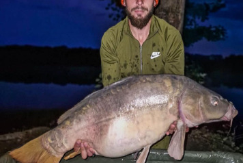 An Excellent Week - 1