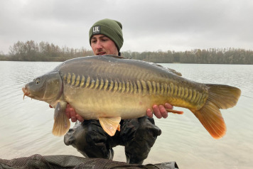 More Carp Stocked this November - 3