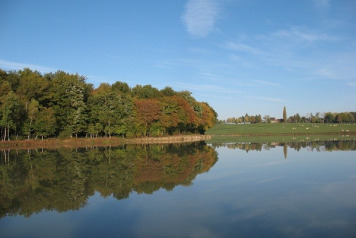 Netting & Additional Stocking - 1