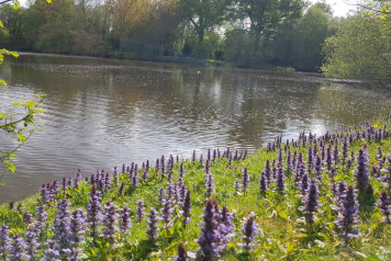 Another 24hr Session on Villefond - 8