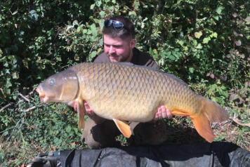 Week commencing 25th Sept - 1