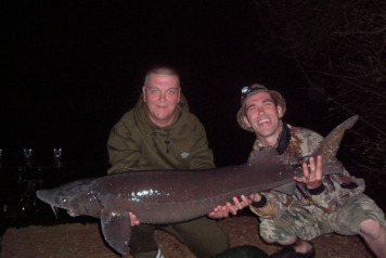 Third new lake and French record Brown back sturgeon! - 2