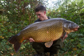 Another Appearance For The Long Common - 1