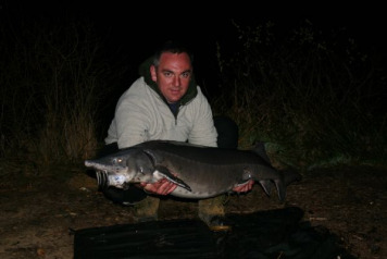 Another new lake record and french record Brown back sturgeon! - 1