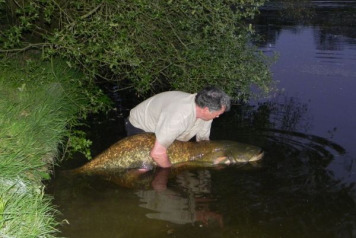 2011 - end of season report - 4