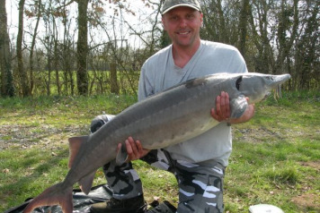 Another new lake record and french record Brown back sturgeon! - 2