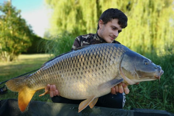 Report to 6th July - 1