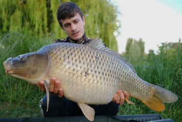 Report to 6th July - 2