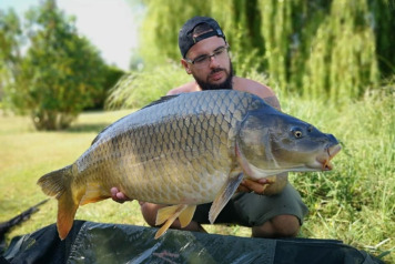 Report to 6th July - 3