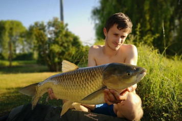 Report to 6th July - 4