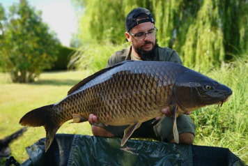 Report to 6th July - 5