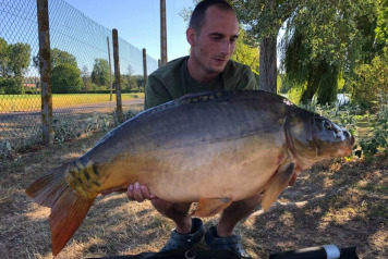 Seigneurie report to 6th July - 1