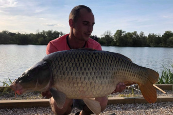 Seigneurie report to 6th July - 2