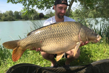 Seigneurie report to 6th July - 6