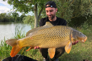 Seigneurie report to 27th July - 2