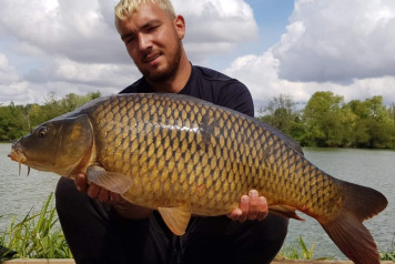 Seigneurie report to 27th July - 5