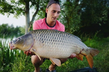 Seigneurie report to 6th July - 3