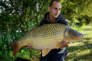 Seigneurie report to 6th July - 4