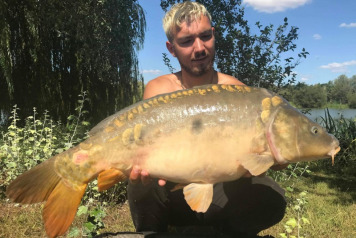 Seigneurie report to 27th July - 8