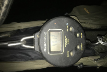 Festive fun at Lillybelle  - 2