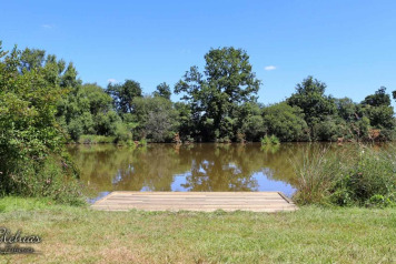 All Decked Swims Finished on The Willow Bank. - 6
