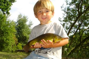 Lake William Mini Progress Updateâ€¦. - 6