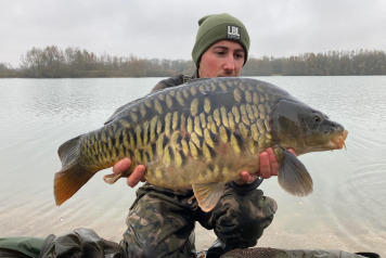 More Carp Stocked this November - 5