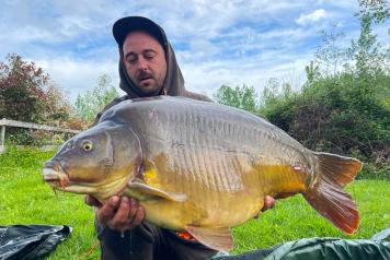 The Pick of The Bunch! - 3