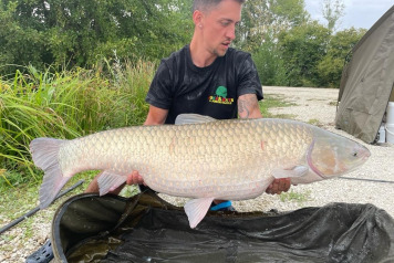 Catch report from 27.8.22 to 3.9.22 - 1