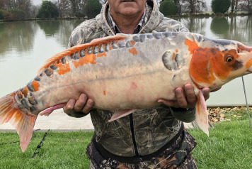 New stock for 2022 - 4