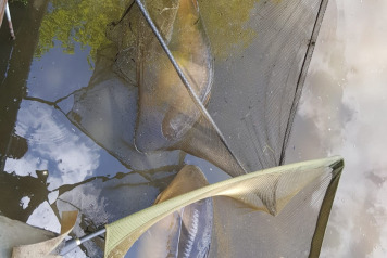 Another 24hr Session on Villefond - 10