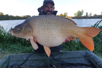 September Round-Up - 2