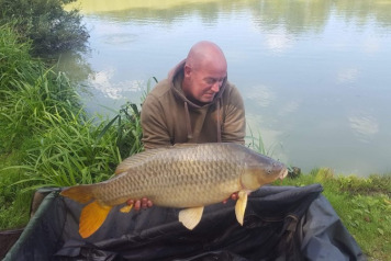 September Update - 1