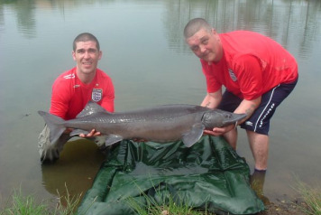 Third new lake and French record Brown back sturgeon! - 1
