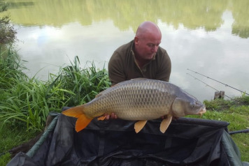 September Update - 3