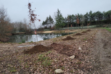 SOME FRESH NEWS FROM OLD OAKS - 4