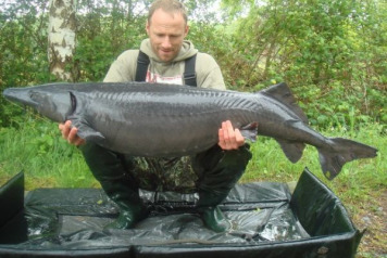 New lake record sturgeon - 1