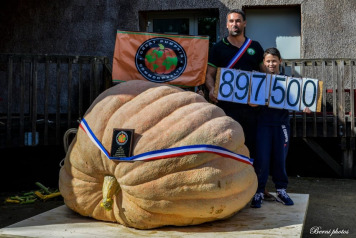 SOME FRESH NEWS FROM OLD OAKS - 15